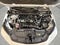 2023 Toyota Prius XLE