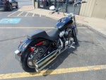 2024 HARLEY-DAVIDSON SOFTAIL Base