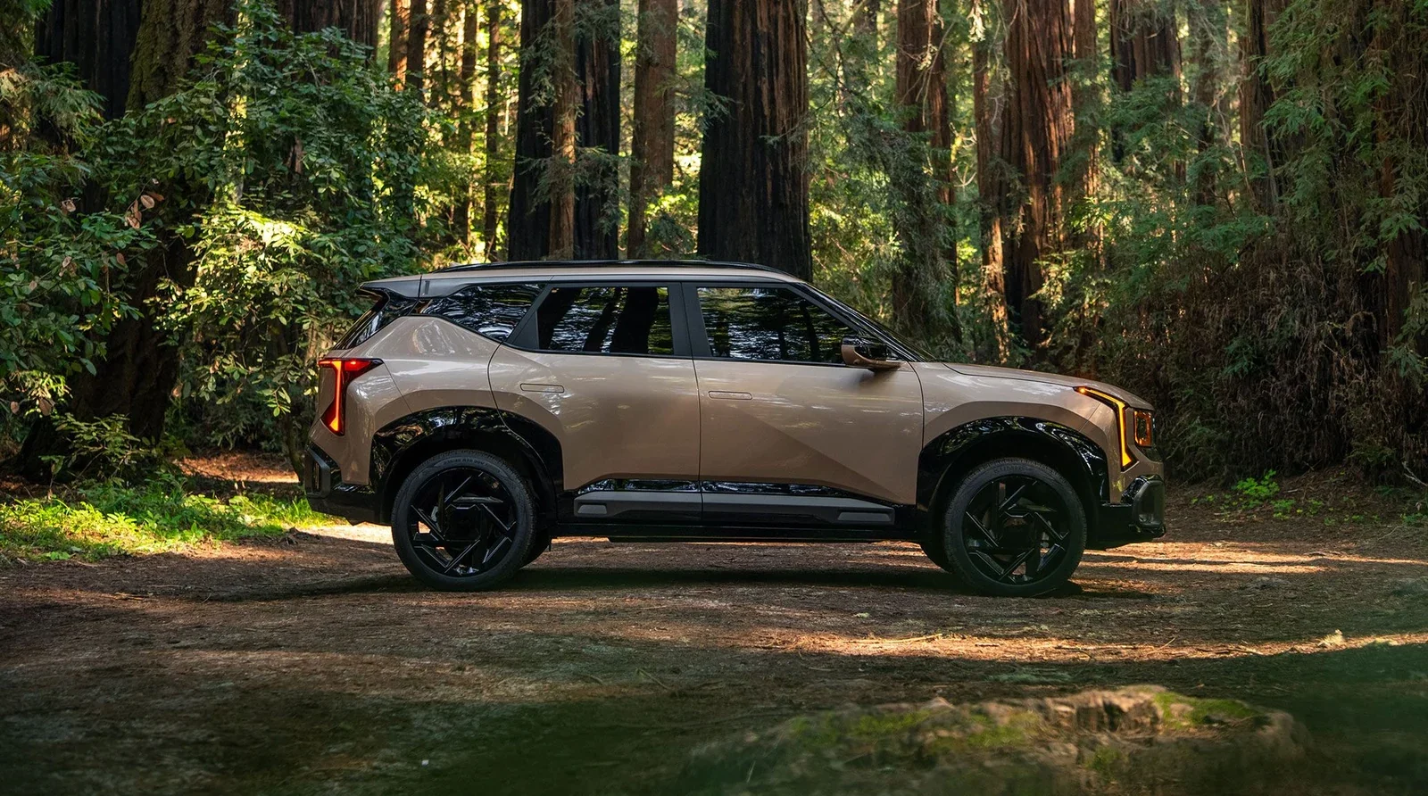 A Kia Seltos parked in a redwood forest.