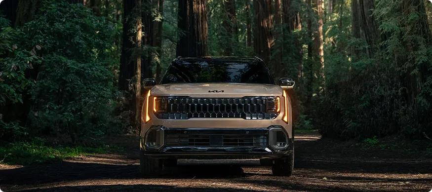 Bronze Kia Seltos head-on in a redwood forest with its headlights lit