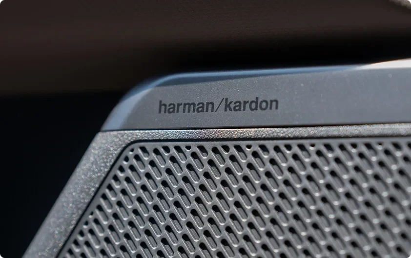 Close-up of a perforated harman/kardon speaker grille badge on the Seltos door trim