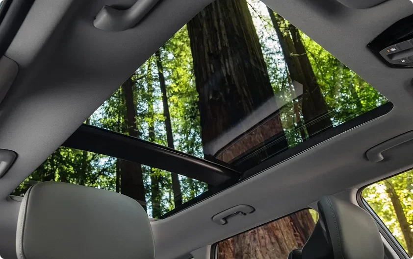View from inside the Seltos looking up through the open panoramic sunroof at redwood trees