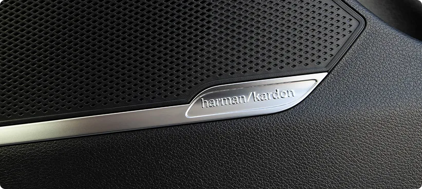 Harman Kardon speaker grille in the Kia Sportage door trim