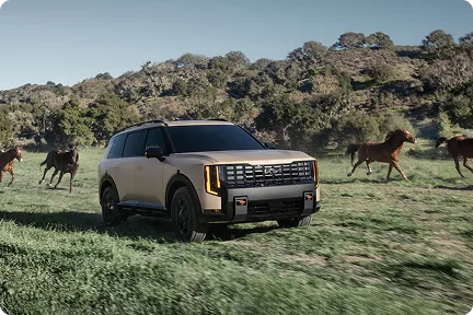Bronze Telluride driving through a green field as horses run alongside